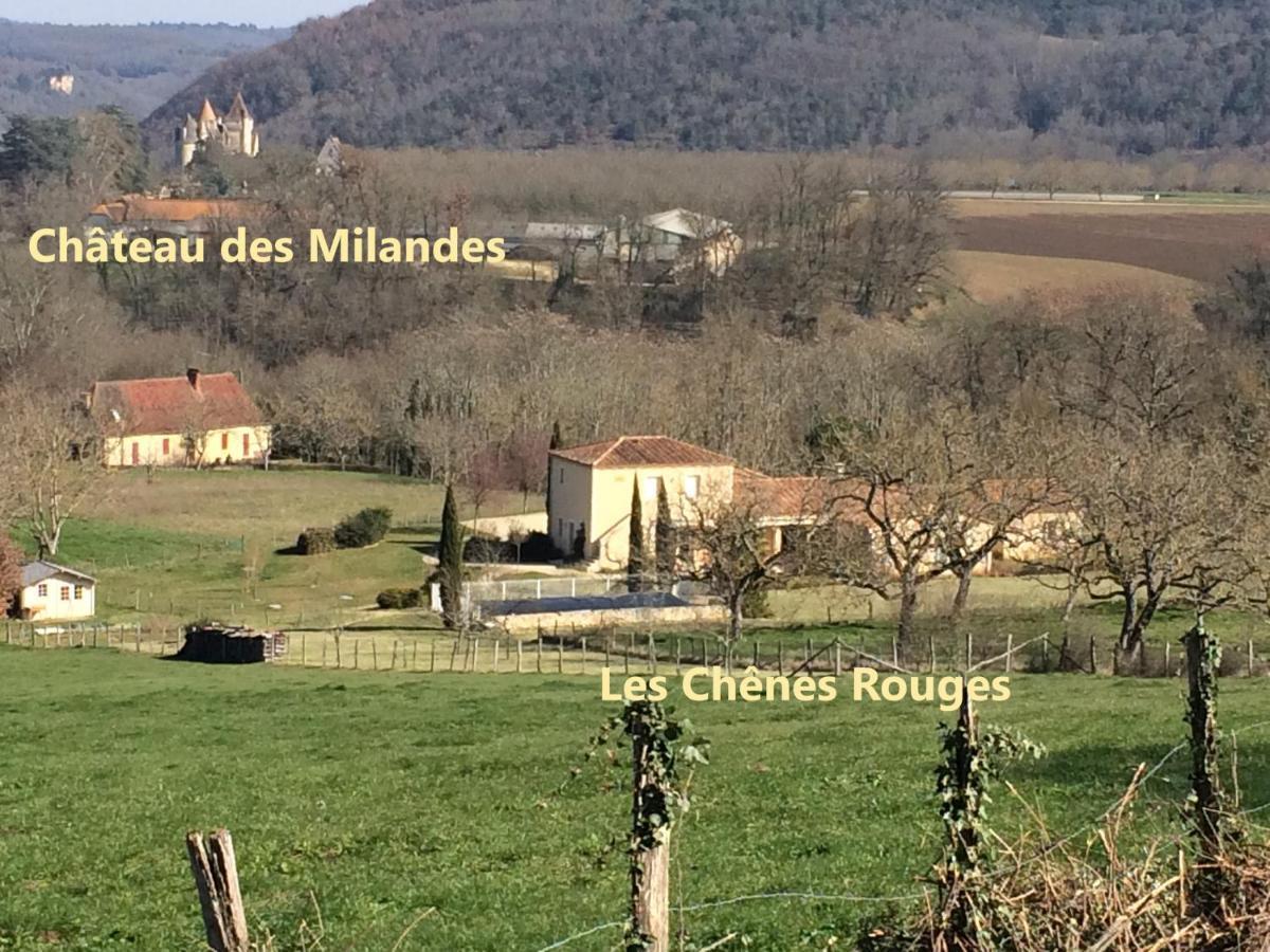 Les Chenes Rouges Bed and Breakfast Veyrines-de-Domme Buitenkant foto